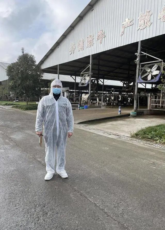 川东北唯一奶牛产业基地——大巴山牧业