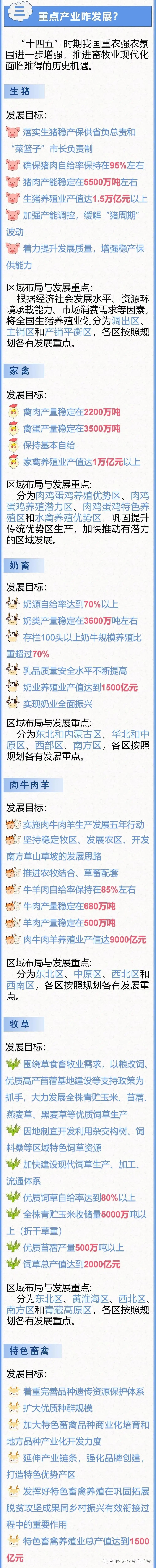 未来五年全国畜牧兽医行业发展规划（图解版）