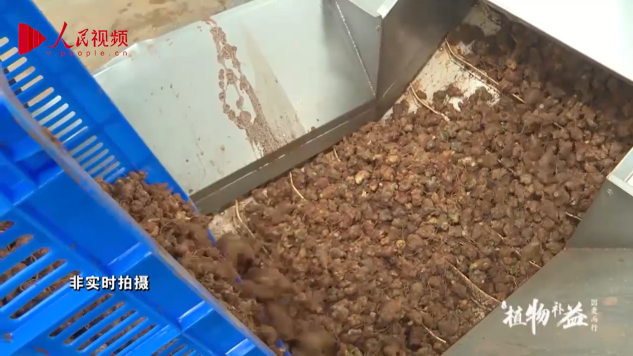 他山之石：云南白药的营销密码，可模仿不可超越