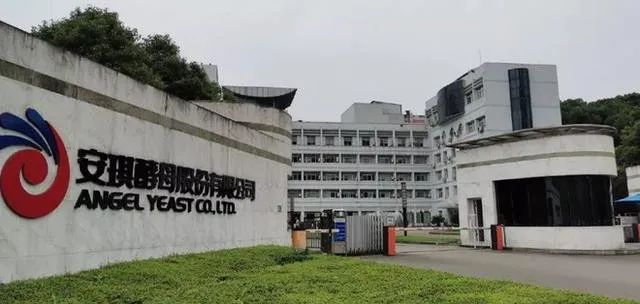 安琪酵母2021五大关键词！