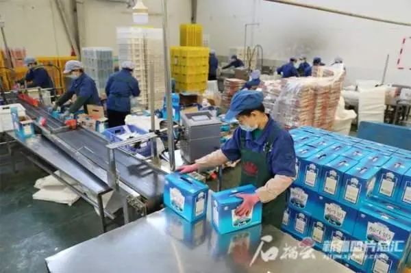 面对发展机遇,新疆奶业该如何“破圈”