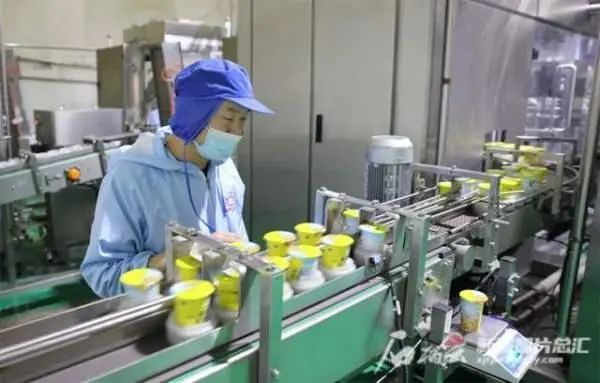 面对发展机遇,新疆奶业该如何“破圈”
