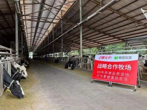 美团买菜与这家乳企达成合作,定制鲜奶30分送达!