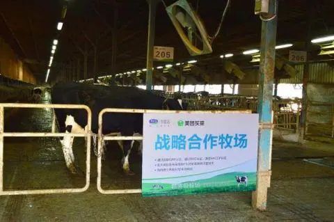 美团买菜与这家乳企达成合作,定制鲜奶30分送达!