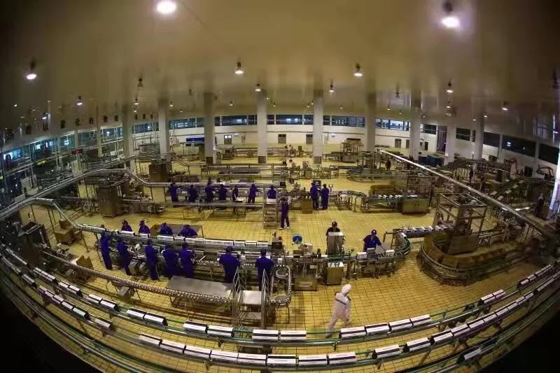 蚌埠五河:奶牛养殖“牛”劲十足