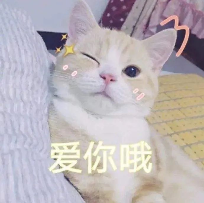 16省市代表粉面轮番battle,重庆人笑到了最后