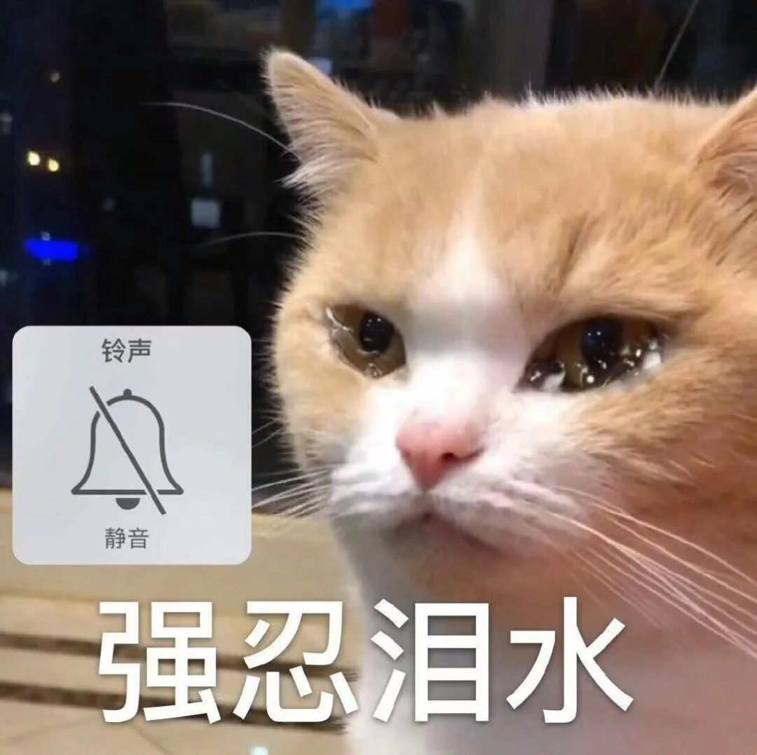 16省市代表粉面轮番battle,重庆人笑到了最后