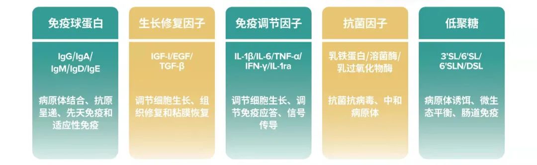 “皮肤屏障”、“肠道屏障”是功能食品的“机会点”吗?