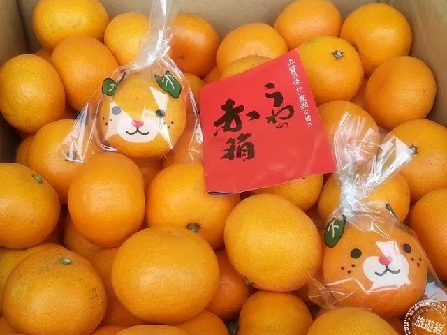 日本农文旅标杆不只有熊本熊!快来抄作业
