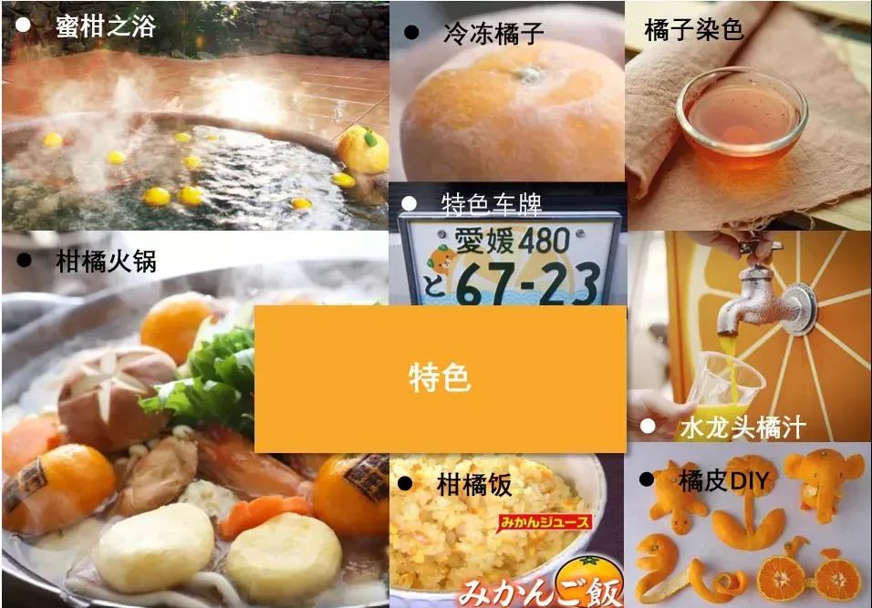 日本农文旅标杆不只有熊本熊!快来抄作业