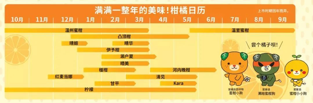 日本农文旅标杆不只有熊本熊!快来抄作业