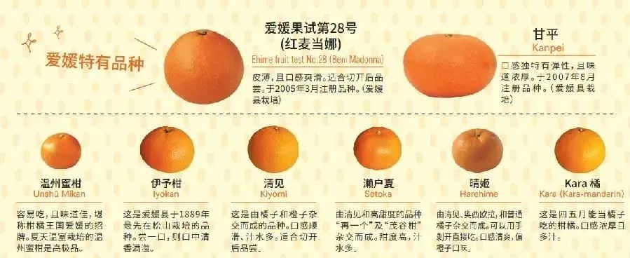 日本农文旅标杆不只有熊本熊!快来抄作业