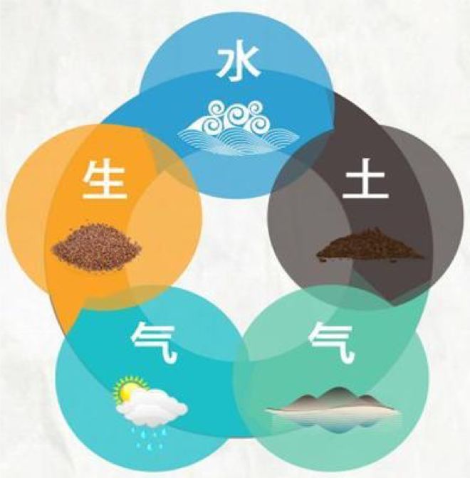 详解浓香型白酒三大流派