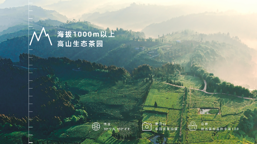 五年目标200亿，高山茶会是无糖茶的“王牌”吗？