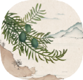 芒种解读 | 沉醉有归处——醉三都品牌创意解读