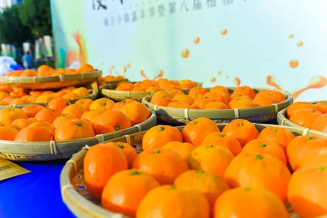芒种解读 | 沉醉有归处——醉三都品牌创意解读