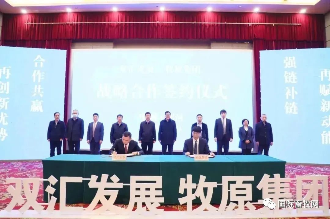 继牧原之后，双汇又与正邦科技签订生猪点对点直供协议
