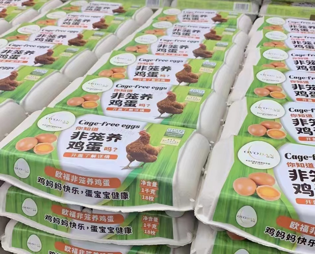 创新 | 元气森林上新“乳酸菌气泡饮品”,奶酪博士推出“冻干奶酪块”