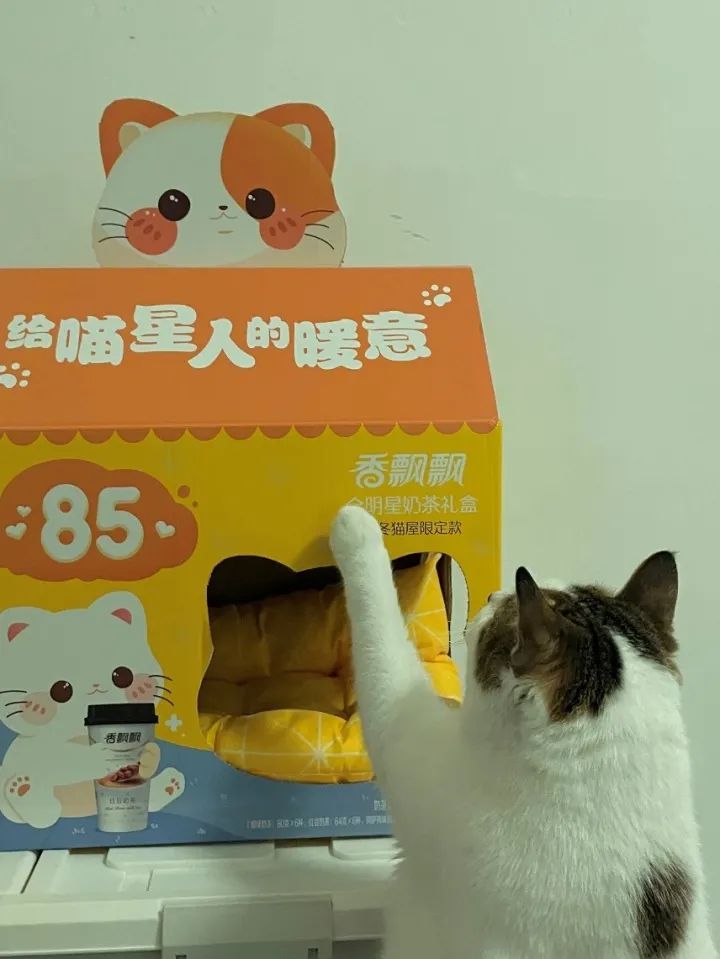 香飘飘开启公益新尝试，助力流浪动物温暖过冬