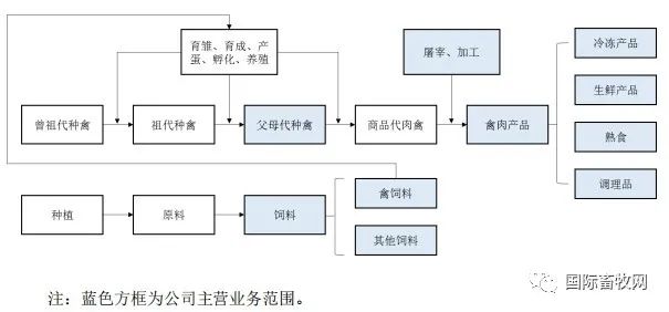 重磅！国内禽肉龙头益客食品上市成功！