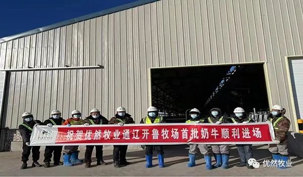 优然牧业开鲁万头牧场首批奶牛入驻！
