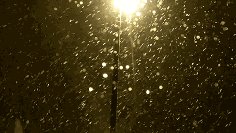 今年来全国最大范围雨雪将来袭,农牧企业需注意天气风险