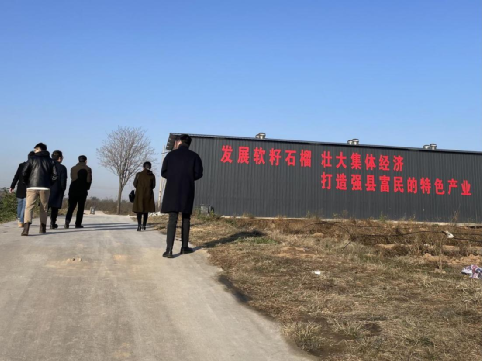 潼关:千年雄关的小甜蜜