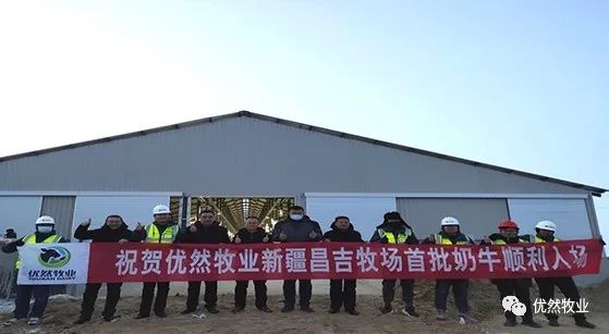 这家牧场正式入驻首批奶牛!
