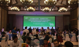 地标品牌 | 盐池滩羊肉:从“贫困”羊到“脱贫”羊