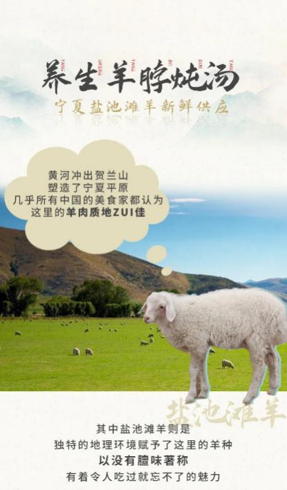 地标品牌 | 盐池滩羊肉:从“贫困”羊到“脱贫”羊