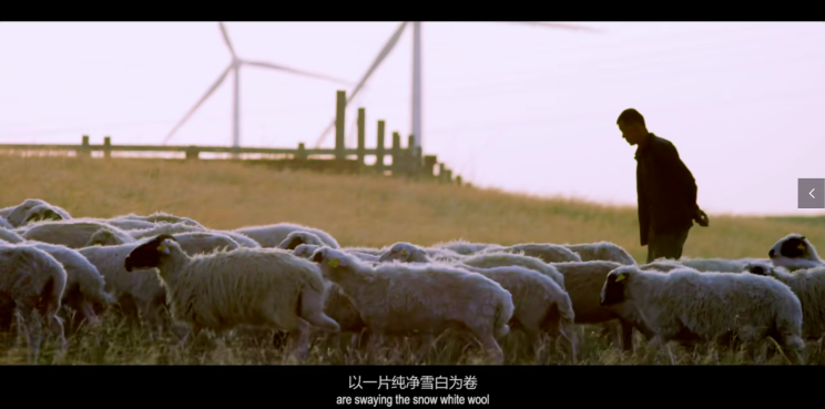 地标品牌 | 盐池滩羊肉:从“贫困”羊到“脱贫”羊