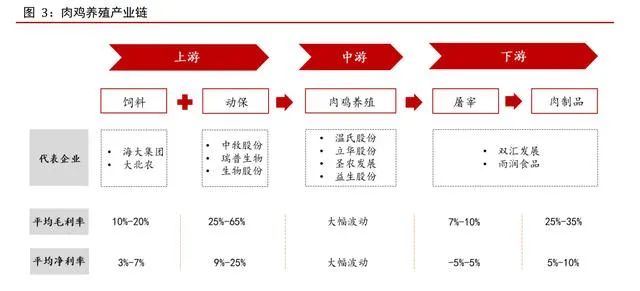 中国肉鸡养殖行业研究报告!年出栏5万羽以上养户仅2.88万家