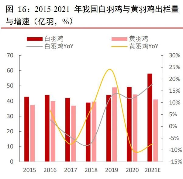 中国肉鸡养殖行业研究报告!年出栏5万羽以上养户仅2.88万家