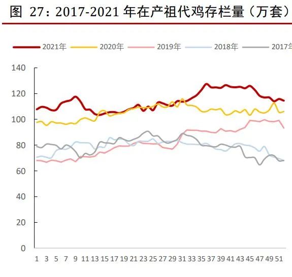 中国肉鸡养殖行业研究报告!年出栏5万羽以上养户仅2.88万家