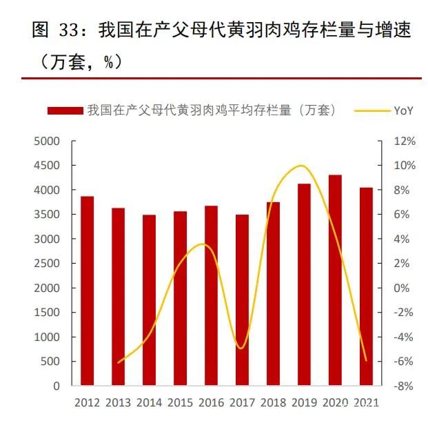 中国肉鸡养殖行业研究报告!年出栏5万羽以上养户仅2.88万家