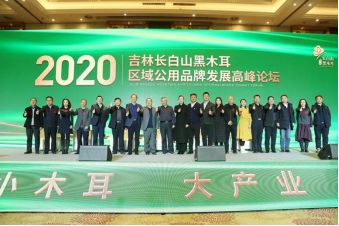 地标专题 | 吉林长白山黑木耳:基于场景感的品牌塑造