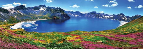 地标专题 | 吉林长白山黑木耳:基于场景感的品牌塑造