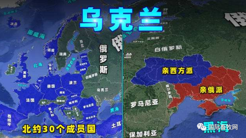 “欧洲粮仓”俄乌冲突影响, 饲料成本将继续增加