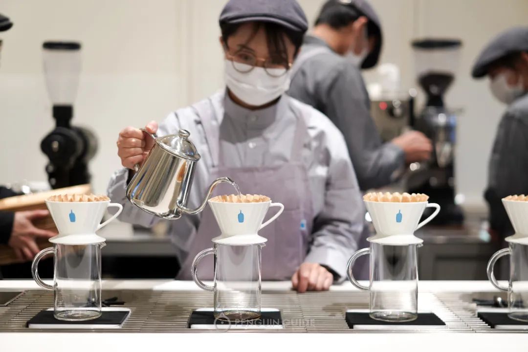 为蓝瓶咖啡排队8小时，我们想说点大实话