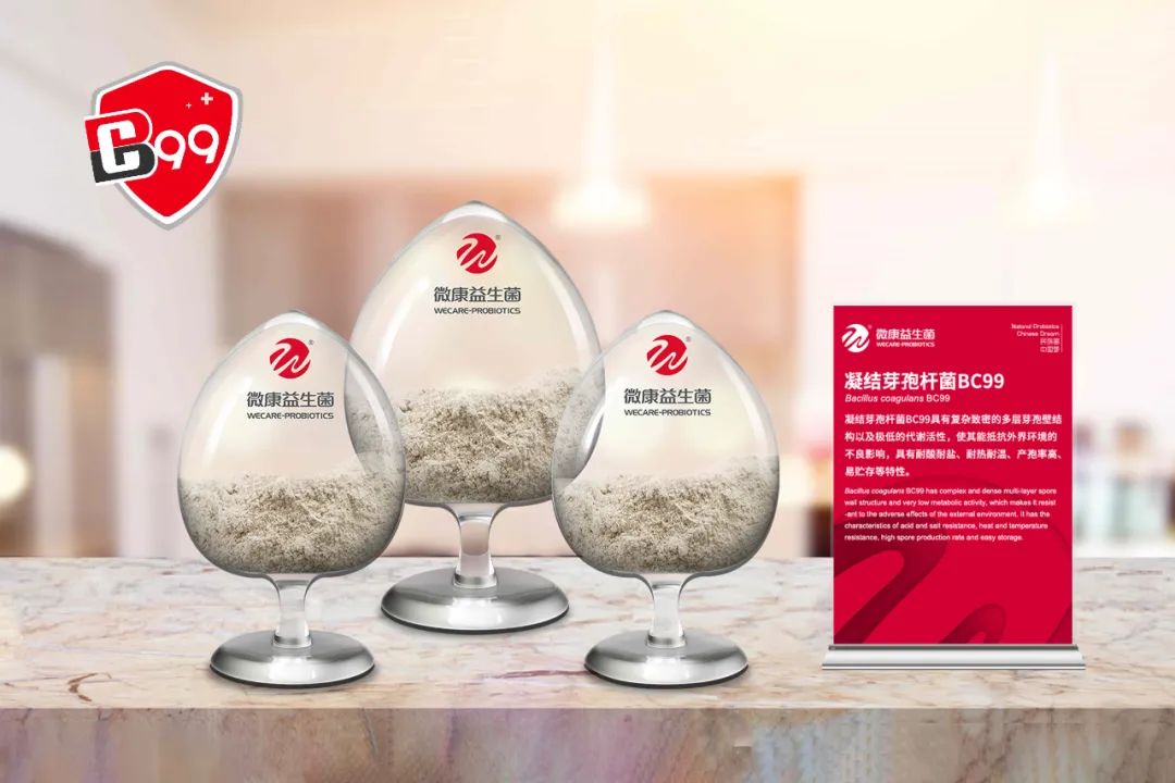 破局代餐产品同质化，耐热益生菌引领品牌创新突围