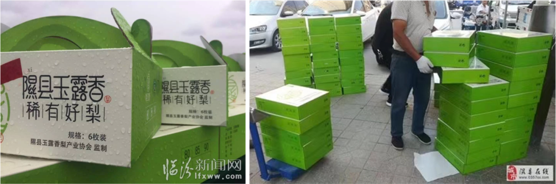 贾枭：果业高质量发展的十个关键词