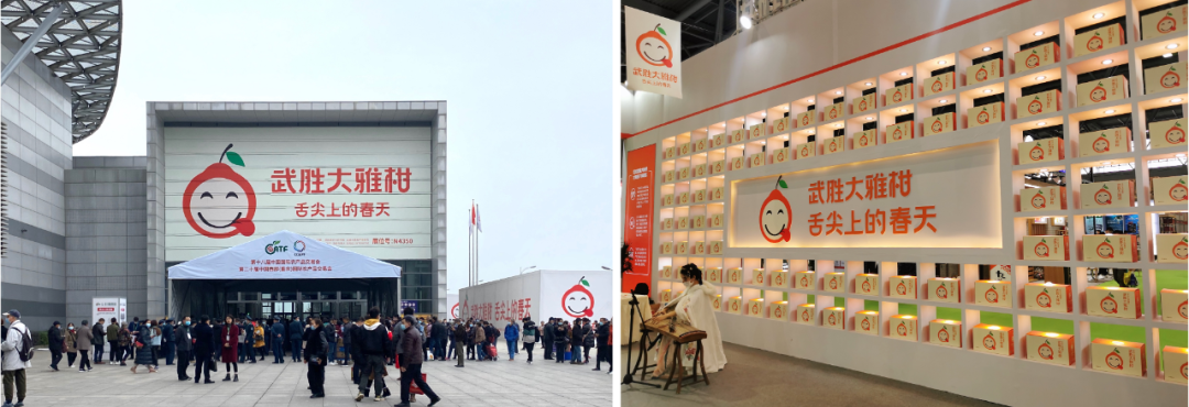 贾枭：果业高质量发展的十个关键词