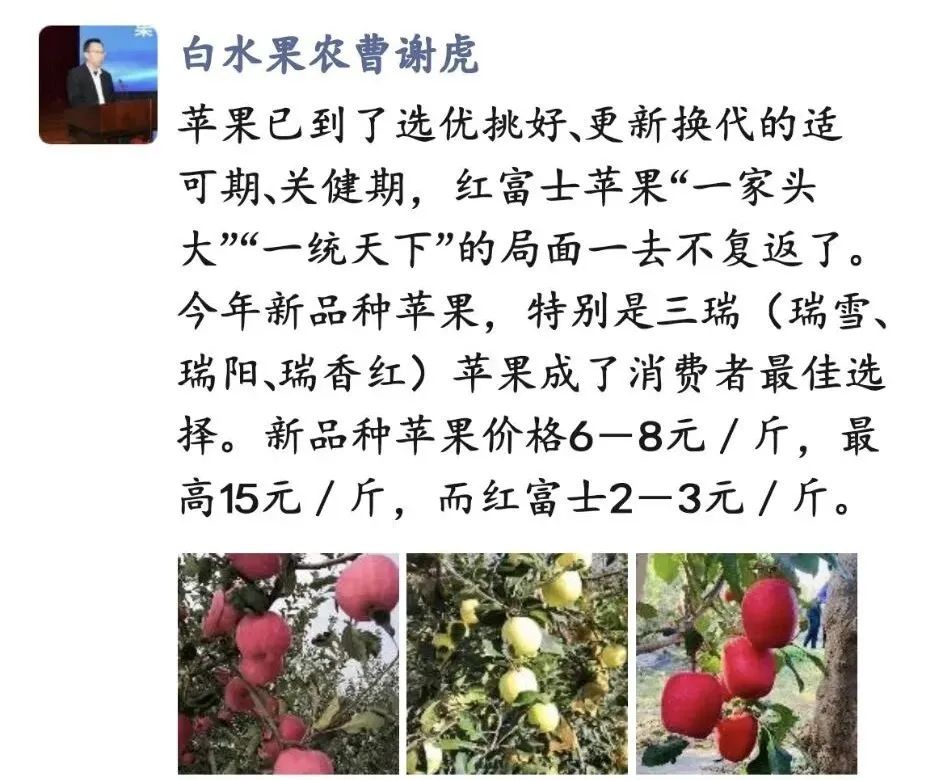 贾枭：果业高质量发展的十个关键词