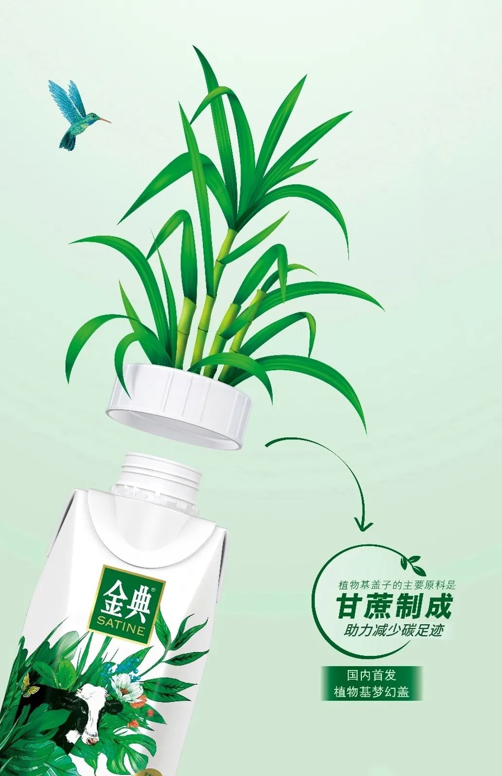 饮料新品牌从0-1，在包装营销方面应如何发力？