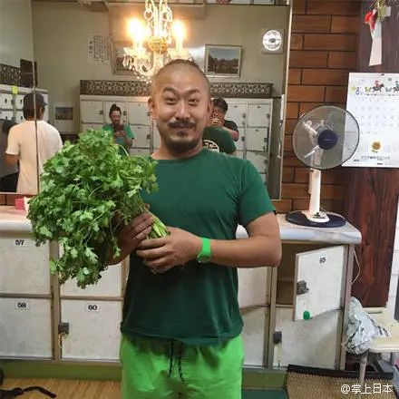 香菜,被嫌弃的顶流的一生