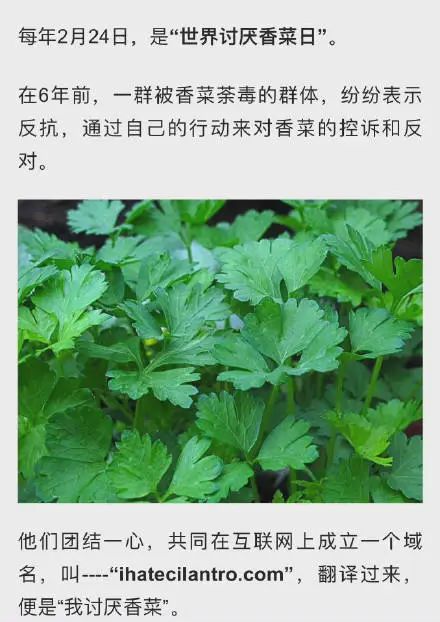 香菜,被嫌弃的顶流的一生