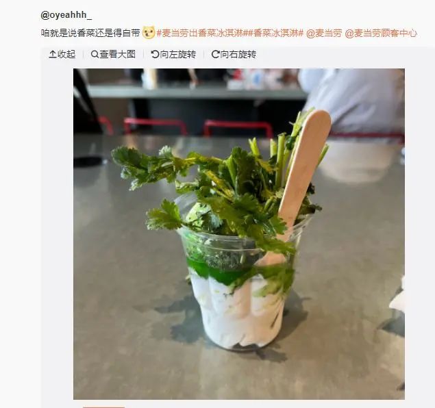 香菜,被嫌弃的顶流的一生