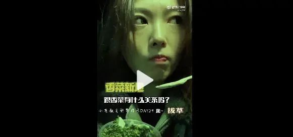 香菜,被嫌弃的顶流的一生