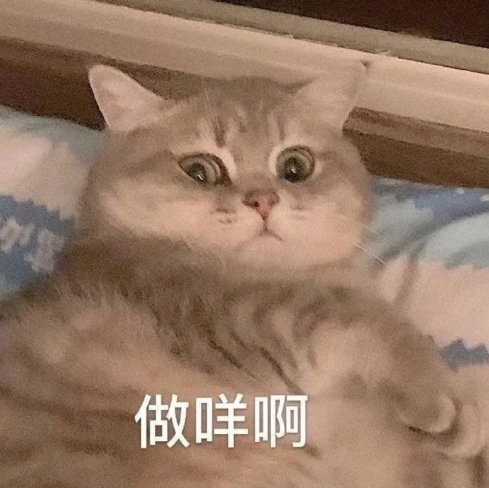 9块钱的喜茶，蜜雪冰城怕不怕？