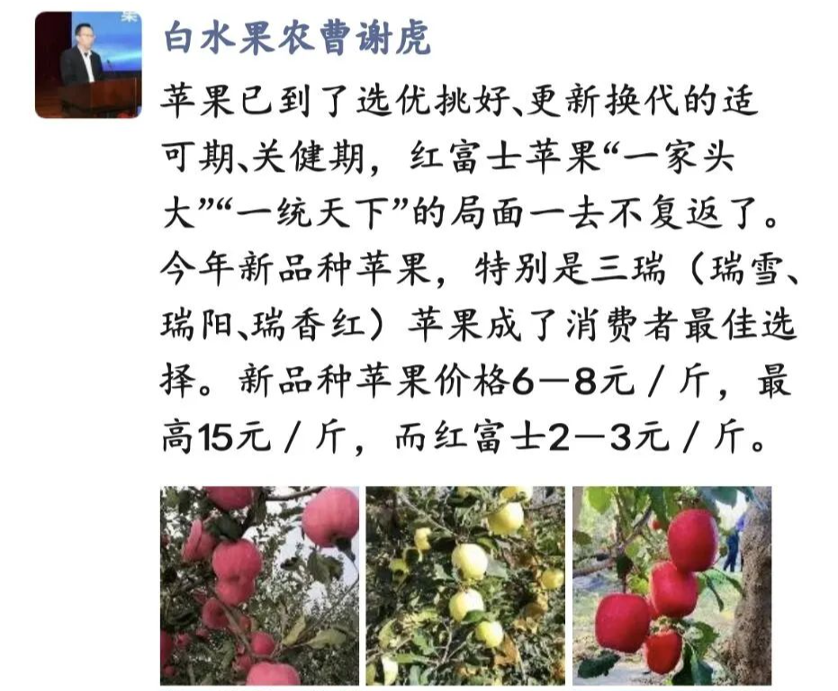 胡王君:果业品牌化的三个认识